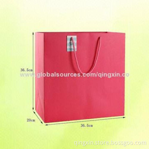 Beautiful Paper Bag for Shopping